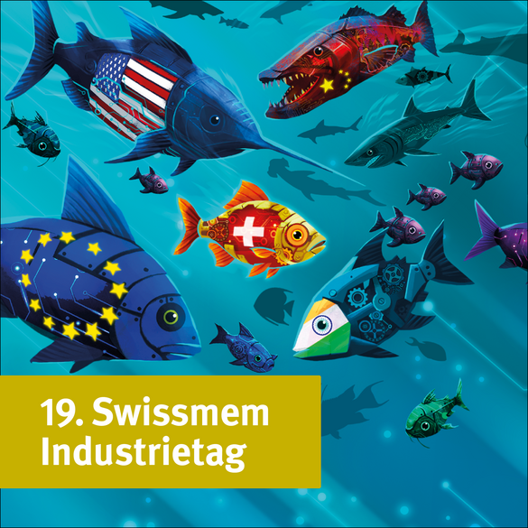 Zwischen Märkten und Mächten